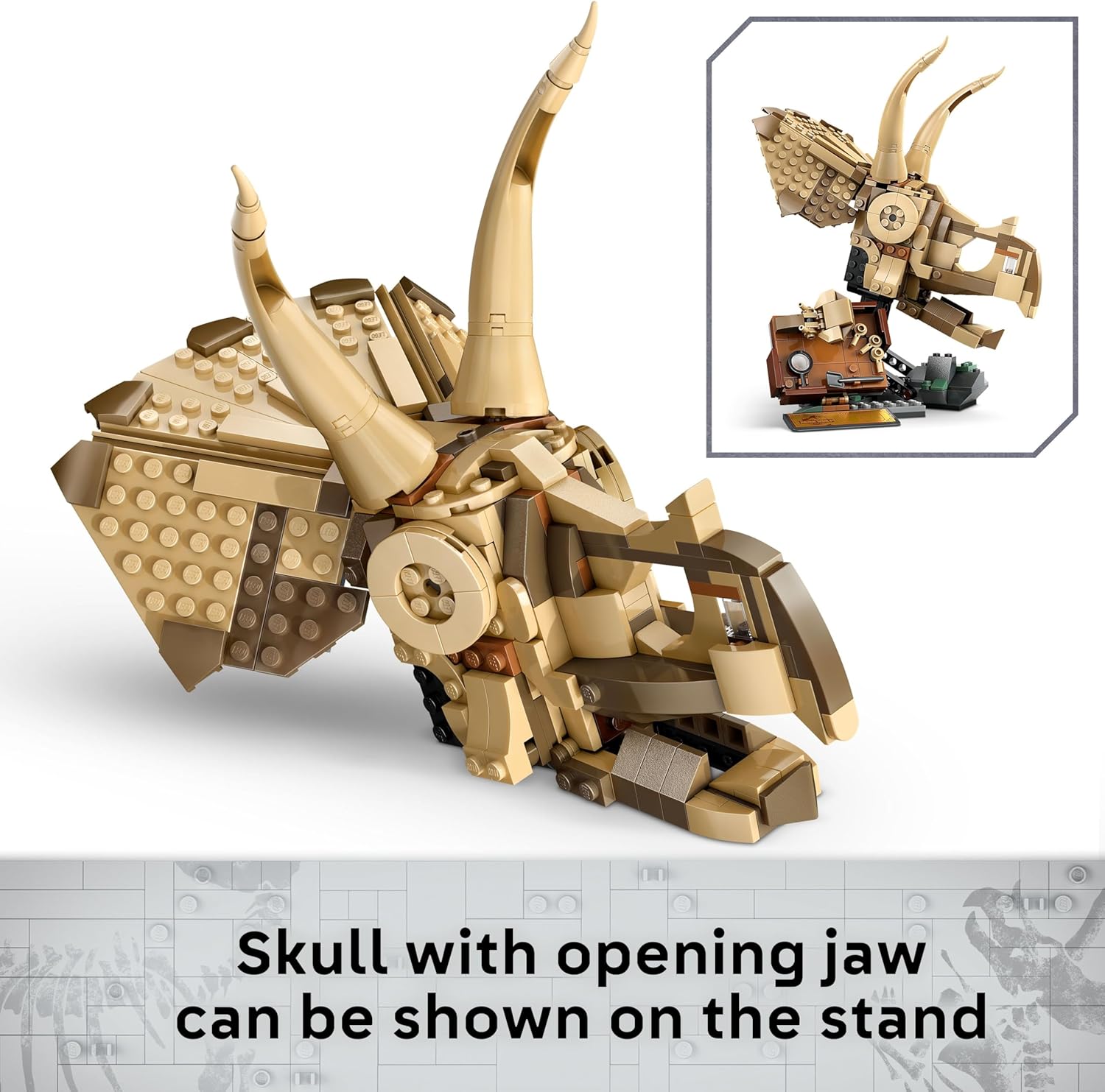 LEGO Jurassic World Dinosaur Fossils: Triceratops Skull Model, Dinosaur Toy for 9+ Year Old Boys & Girls, with Opening Jaw & Display Stand, Birthday Gift Idea 76969 - Image 4