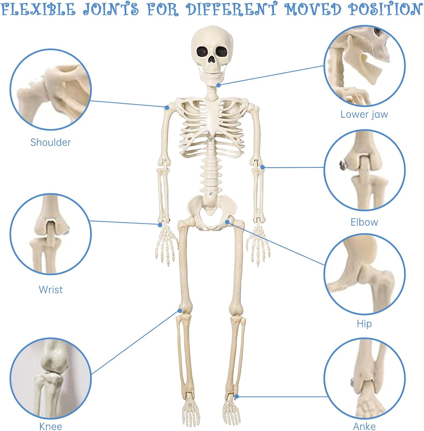 Halloween Posable Skeleton Decoration - 40cm Plastic Skeleton for Indoor or Outdoor Garden Decor, Christmas Day and Other Party Decorations - Image 4