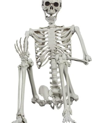 Halloween Posable Skeleton - 165cm Realistic Life Size Human Skeleton Bones with Movable Joints for Halloween Haunted House Decoration