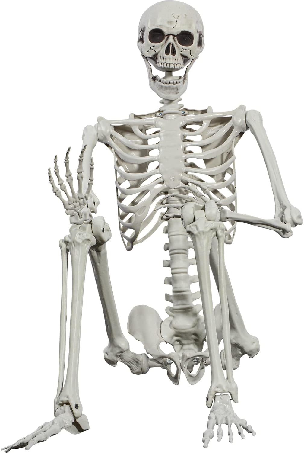 Halloween Posable Skeleton - 165cm Realistic Life Size Human Skeleton Bones with Movable Joints for Halloween Haunted House Decoration