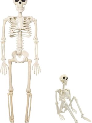 Halloween Posable Skeleton Decoration - 40cm Plastic Skeleton for Indoor or Outdoor Garden Decor, Christmas Day and Other Party Decorations