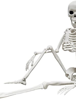 Skeleton Posable Halloween Full Body Skeleton Props Realistic Human Bones with Movable Joints for Halloween Christmas Day Other Party Decoration